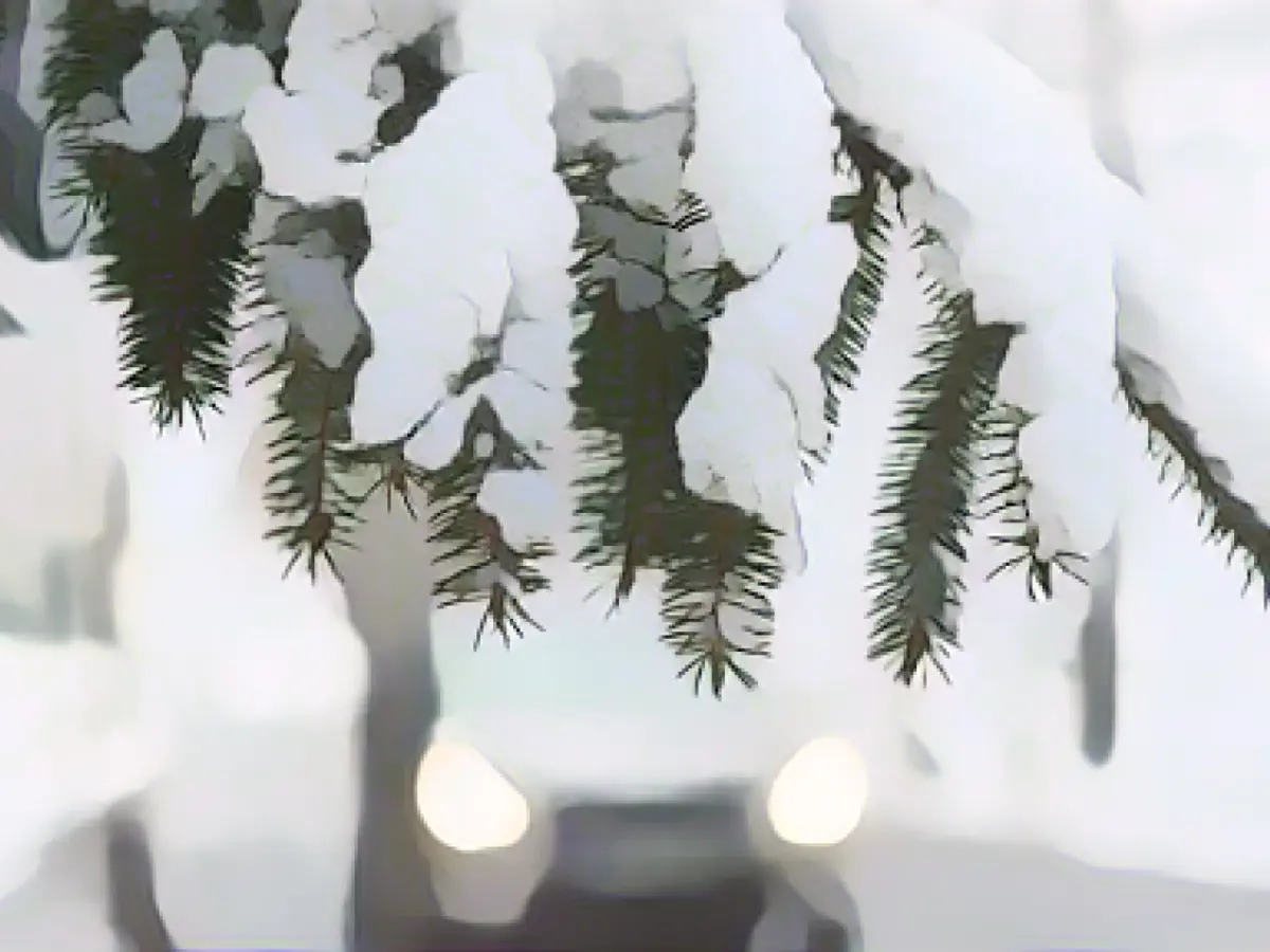 Quiet roads despite persistent frost and snowfall