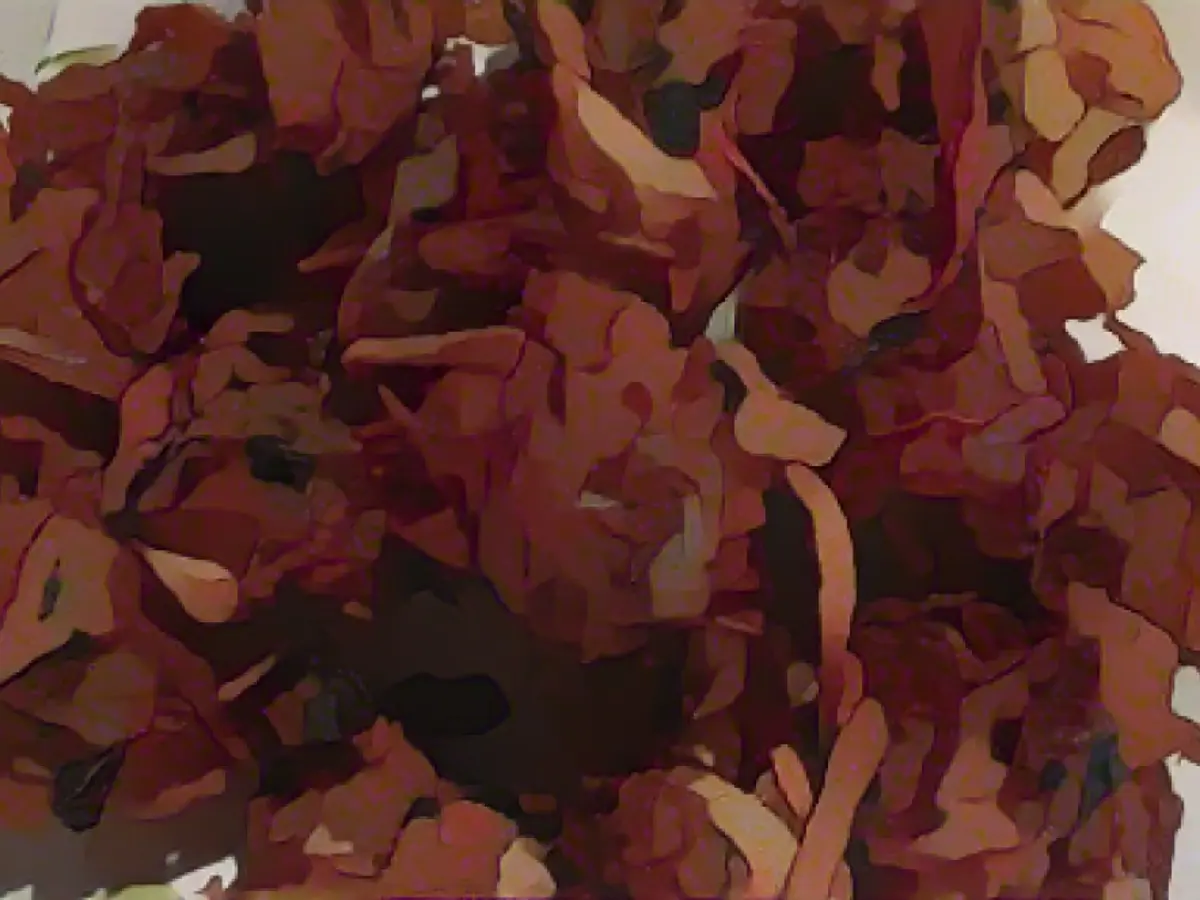 Chicken and Vegetable Fritters