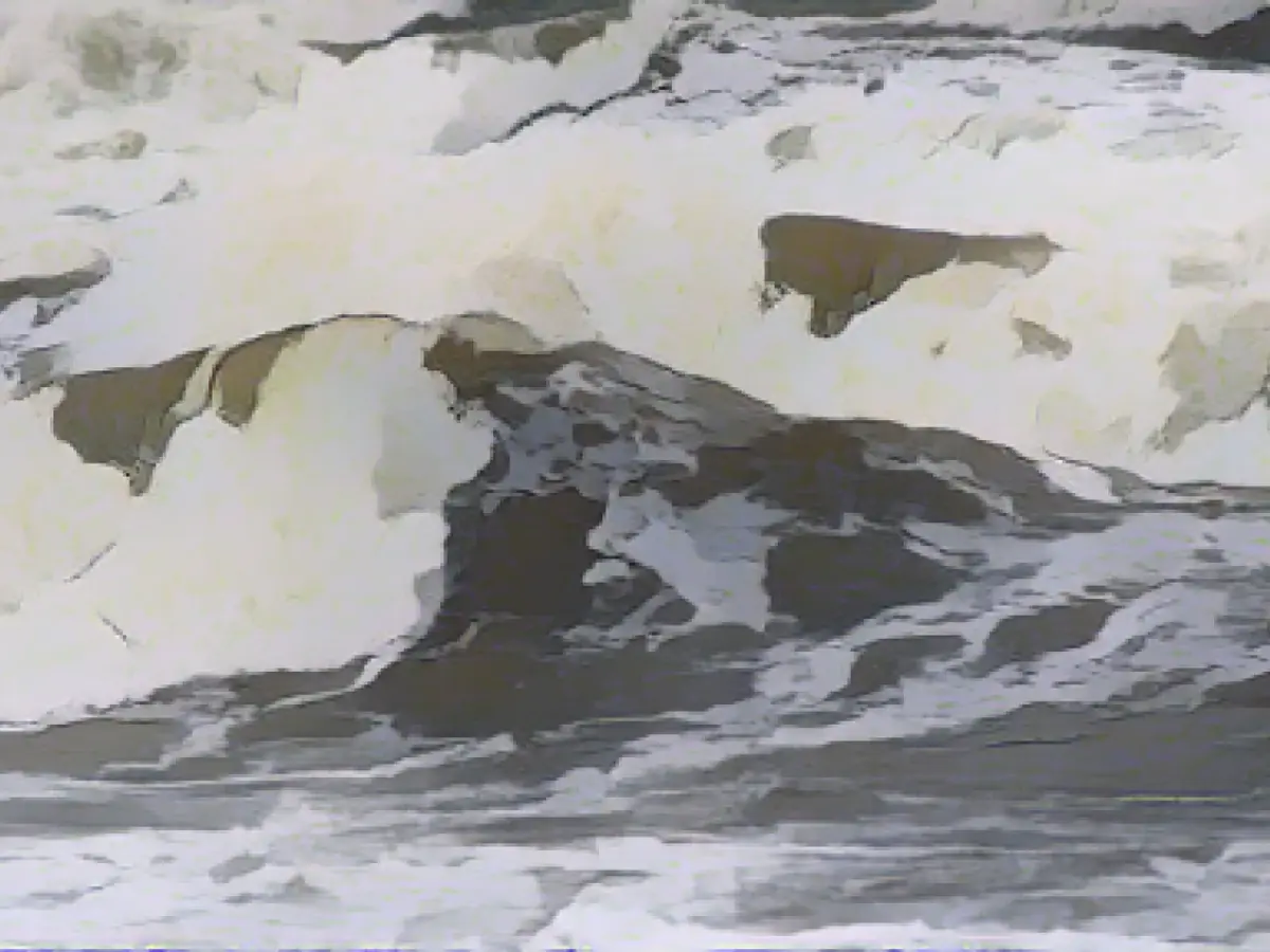 More than 93,500 signatures for Baltic Sea National Park