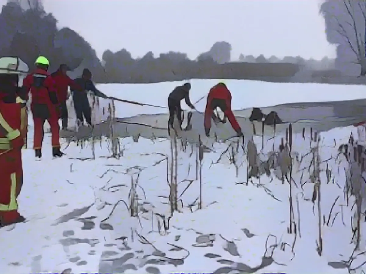 Horses break into ice pond