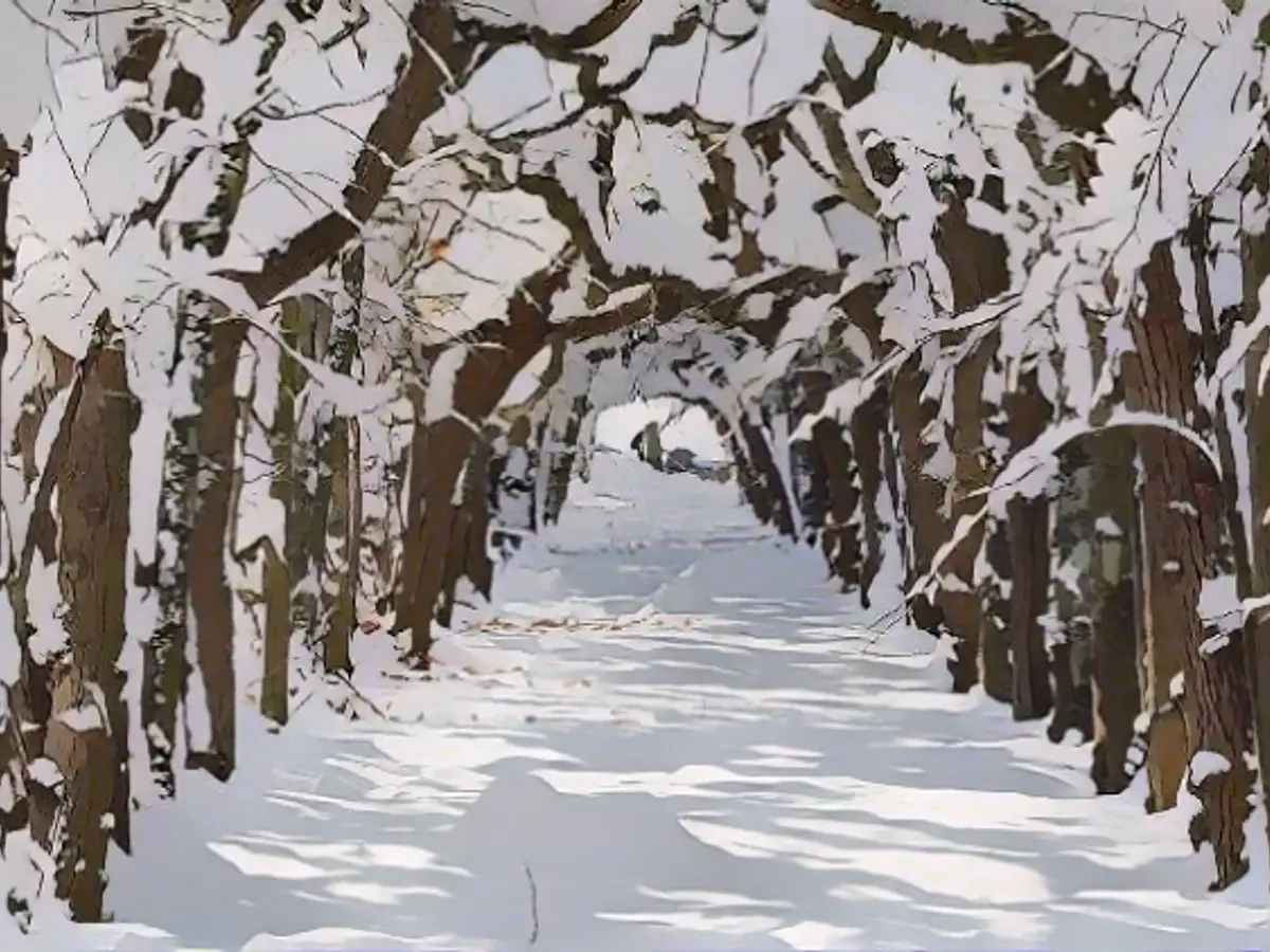 "Sani" brings milder air, but the icy conditions remain