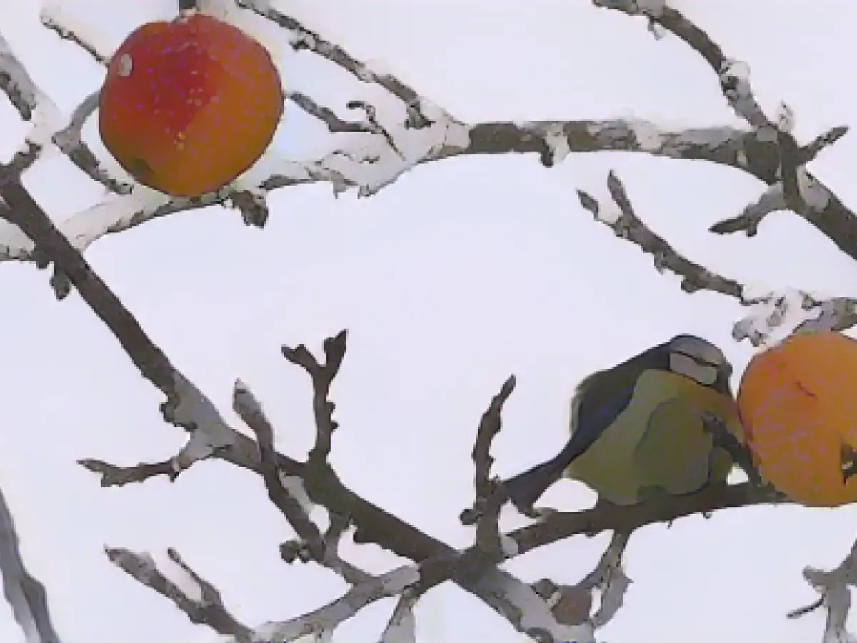 Nature conservation association denounces clear-cutting in the Spessart