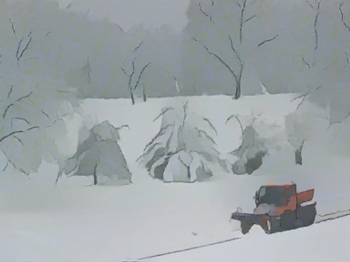 Bird conservationists: Animals surprised by the onset of winter