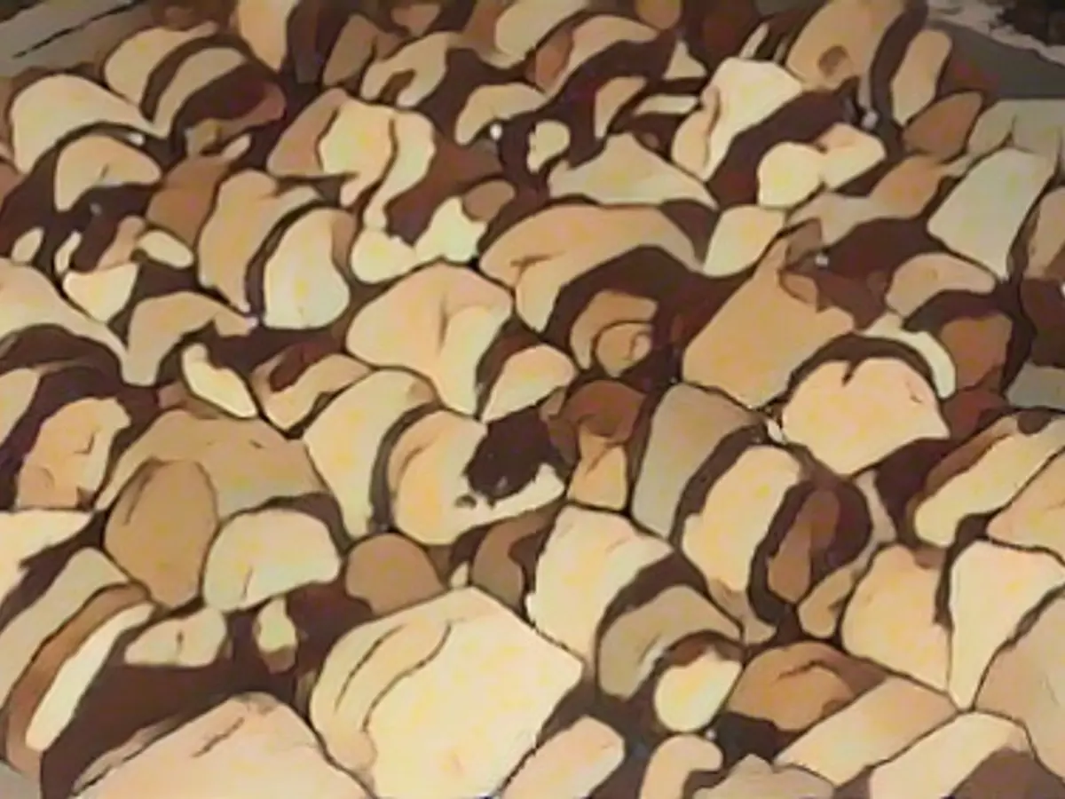 chocolate rug