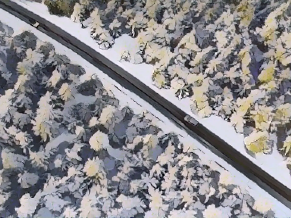 Frost and snow do not lead to traffic chaos