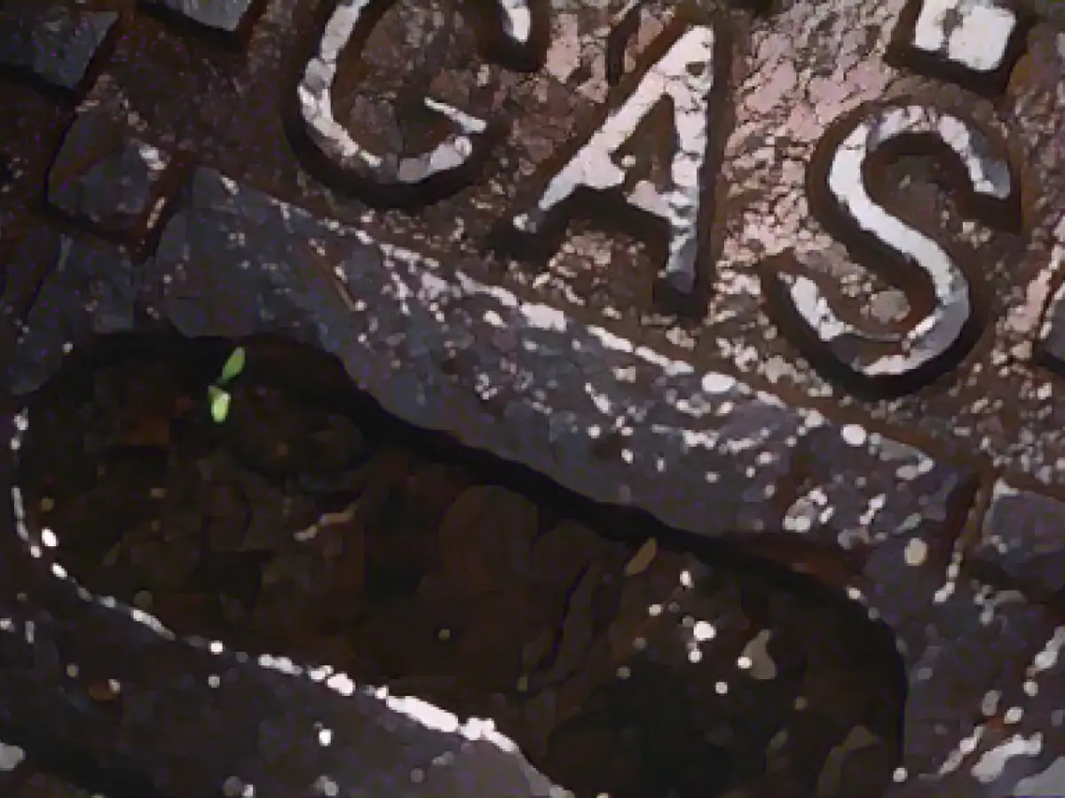 Gas consumption in Schleswig-Holstein higher than a year ago