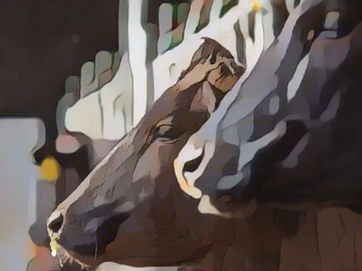 Bavaria wants to prevent stricter rules for cattle farming