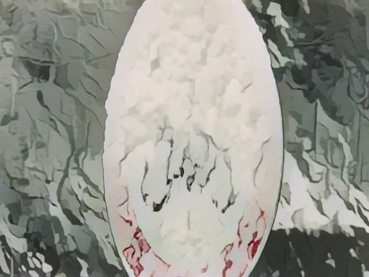 Can you ignore snow-covered traffic signs?