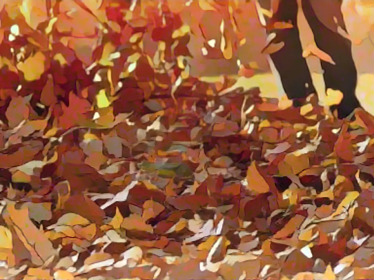 You can turn your shop vac into a leaf blower