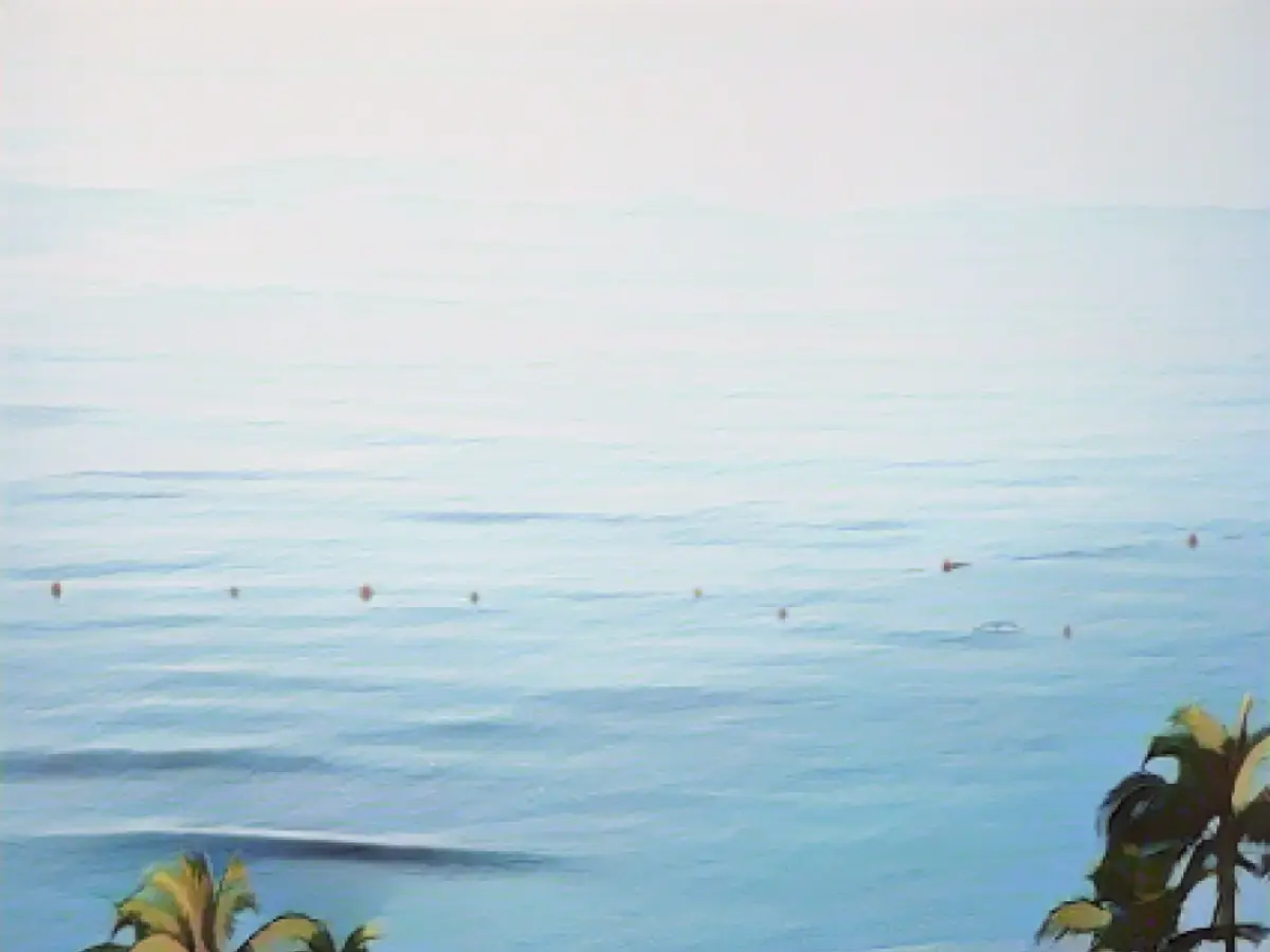 Shark alarm in poker paradise