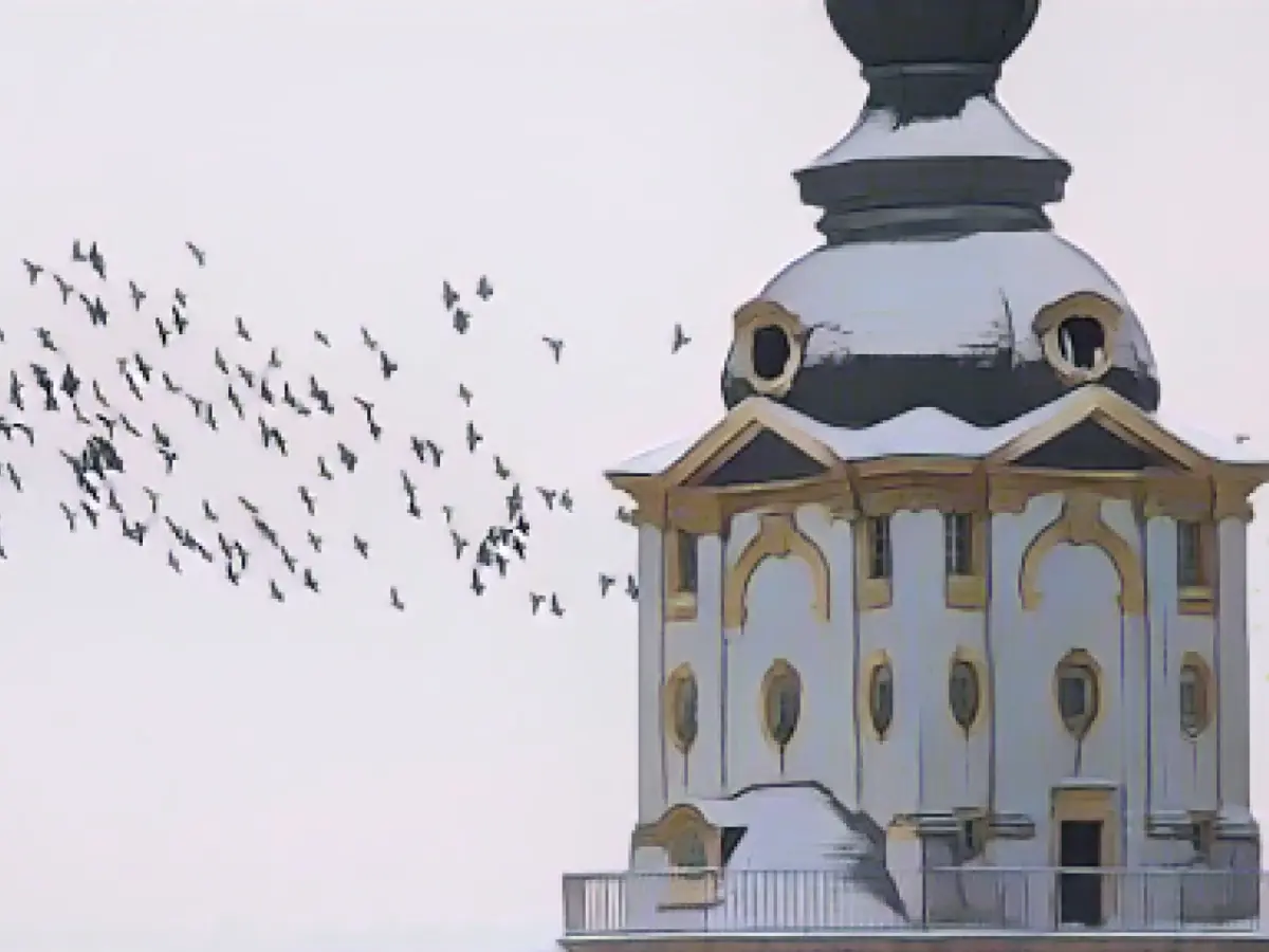 Advent market in Weißenfels canceled due to illness