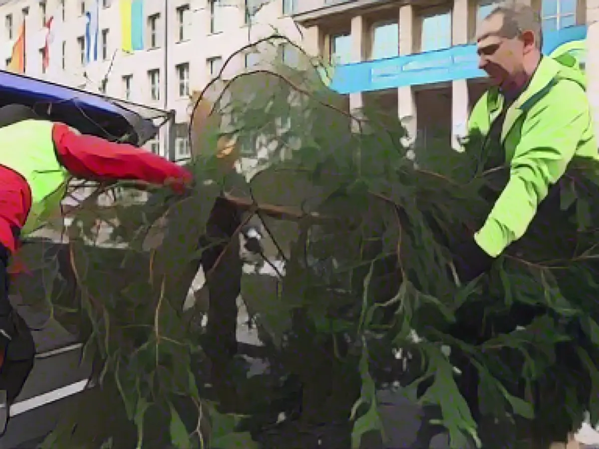 Christmas tree with damage and message at the ministry