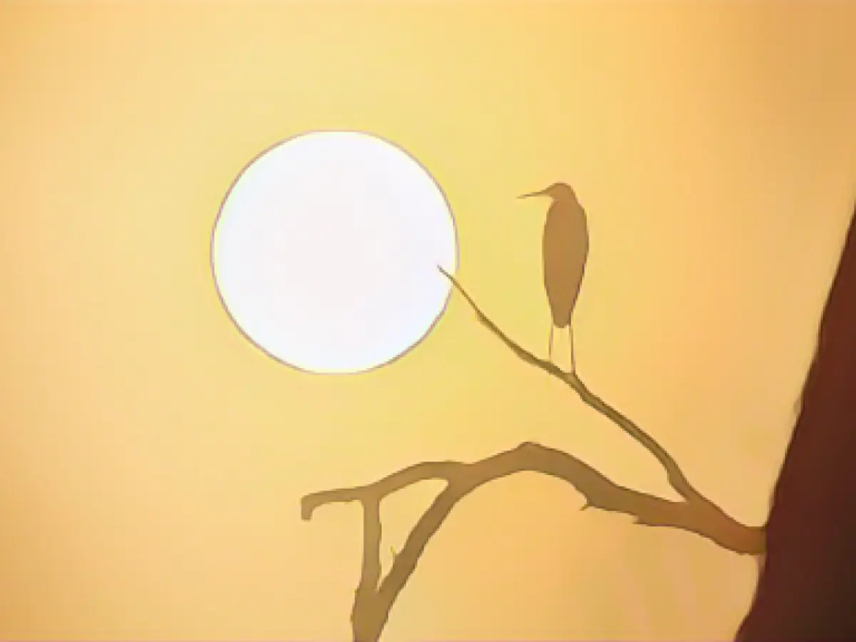 Copernicus: 2023 will be the warmest year since records began