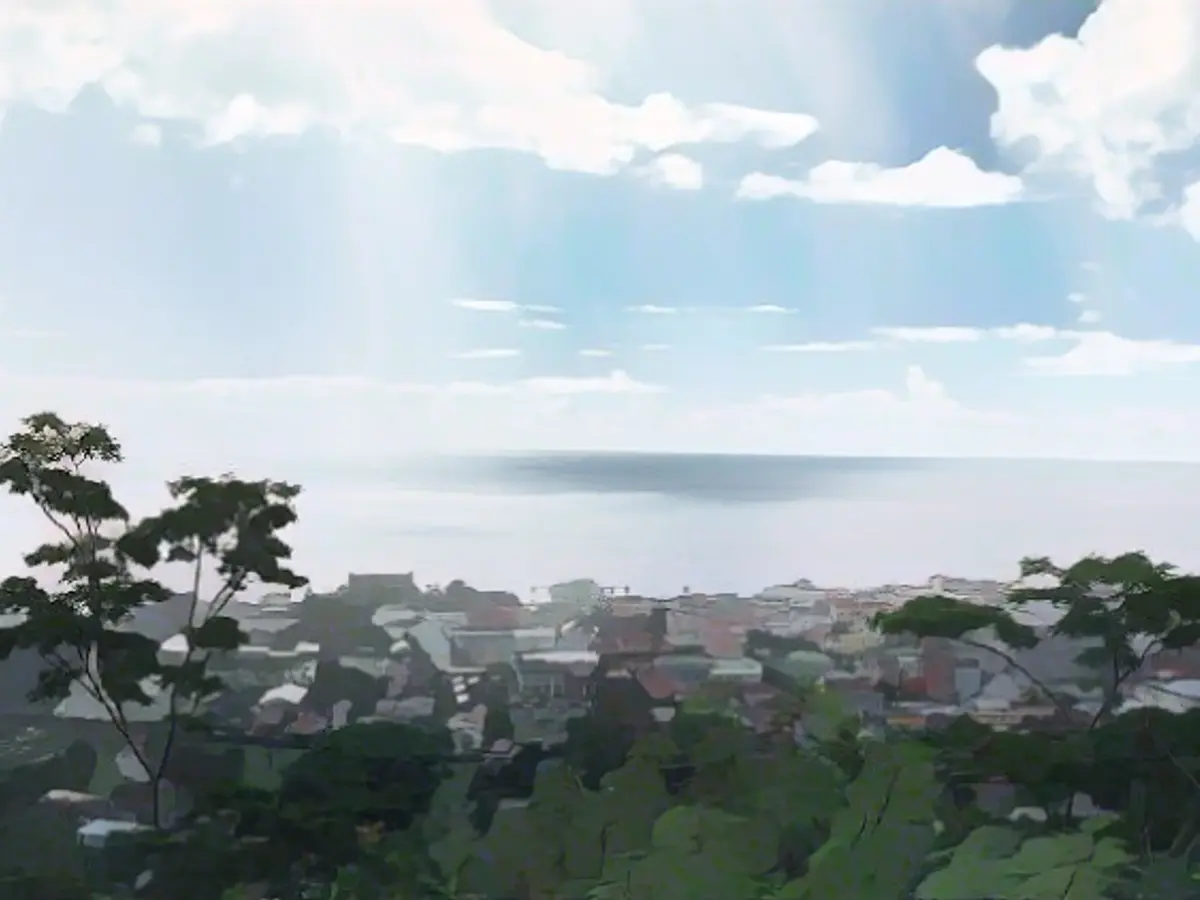 Bodies of Canadian entrepreneur couple found