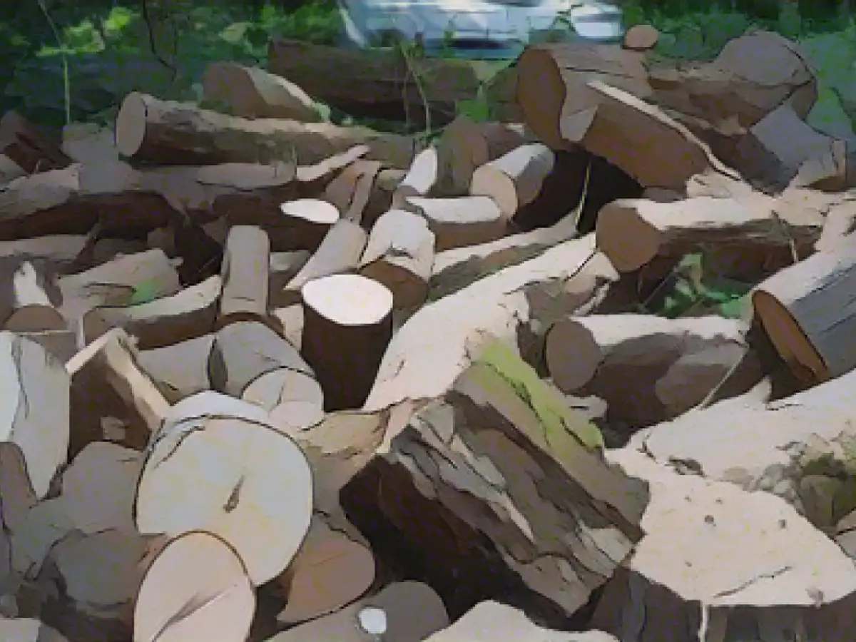 More timber thefts in Berlin than in previous years