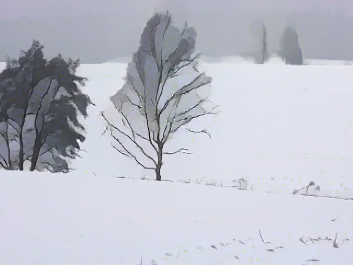 Clouds and frosty temperatures in Saxony-Anhalt