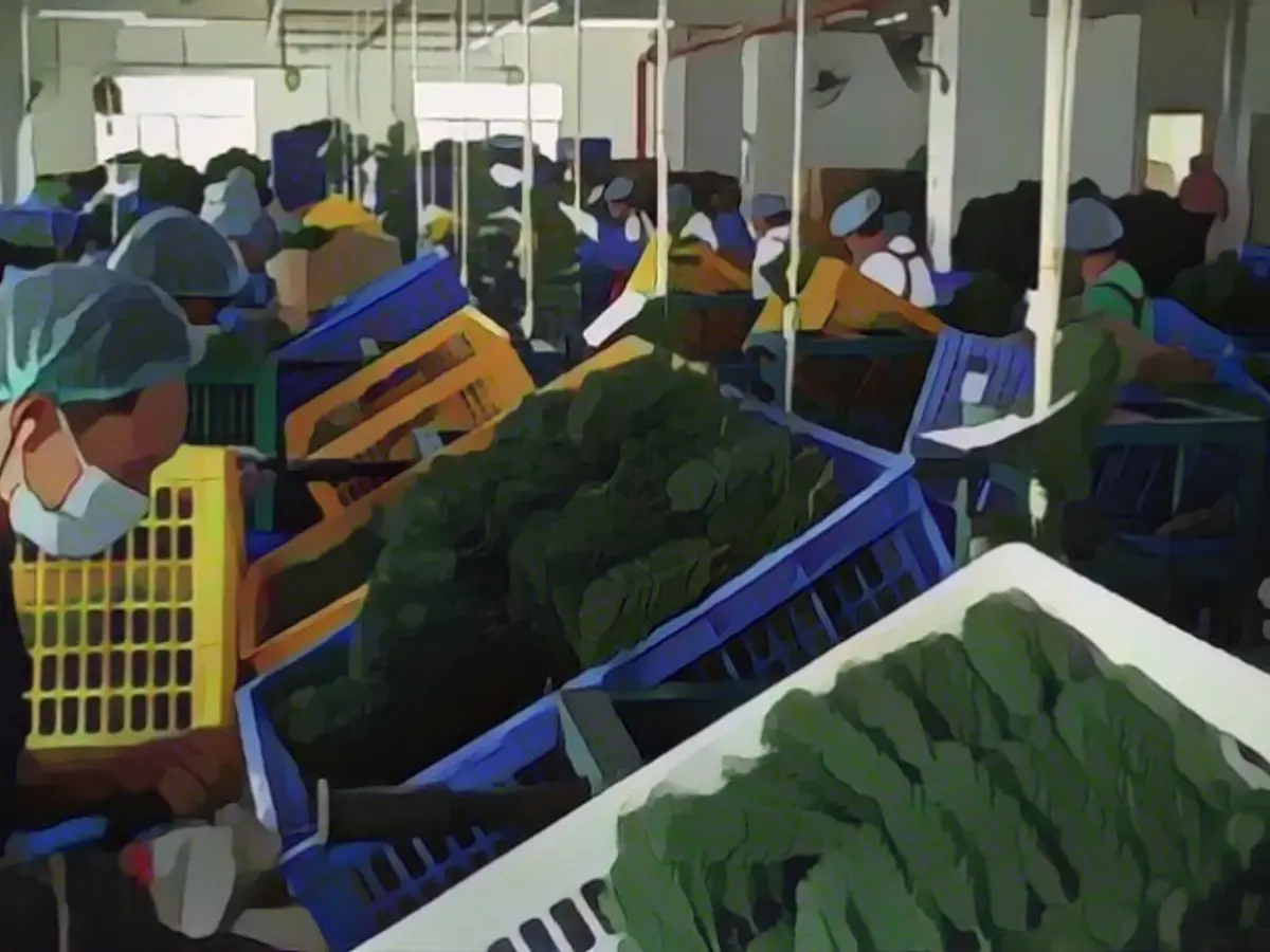 Holiday nonsense: Christmas trees and decorations are skyrocketing in price right now