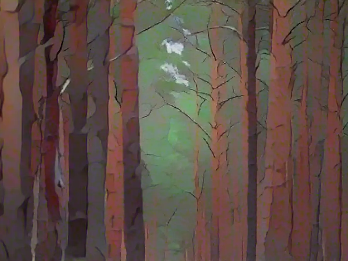 Bavaria's forests are getting worse and worse