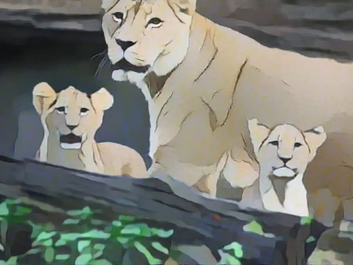 Leipzig Zoo raises ticket prices slightly