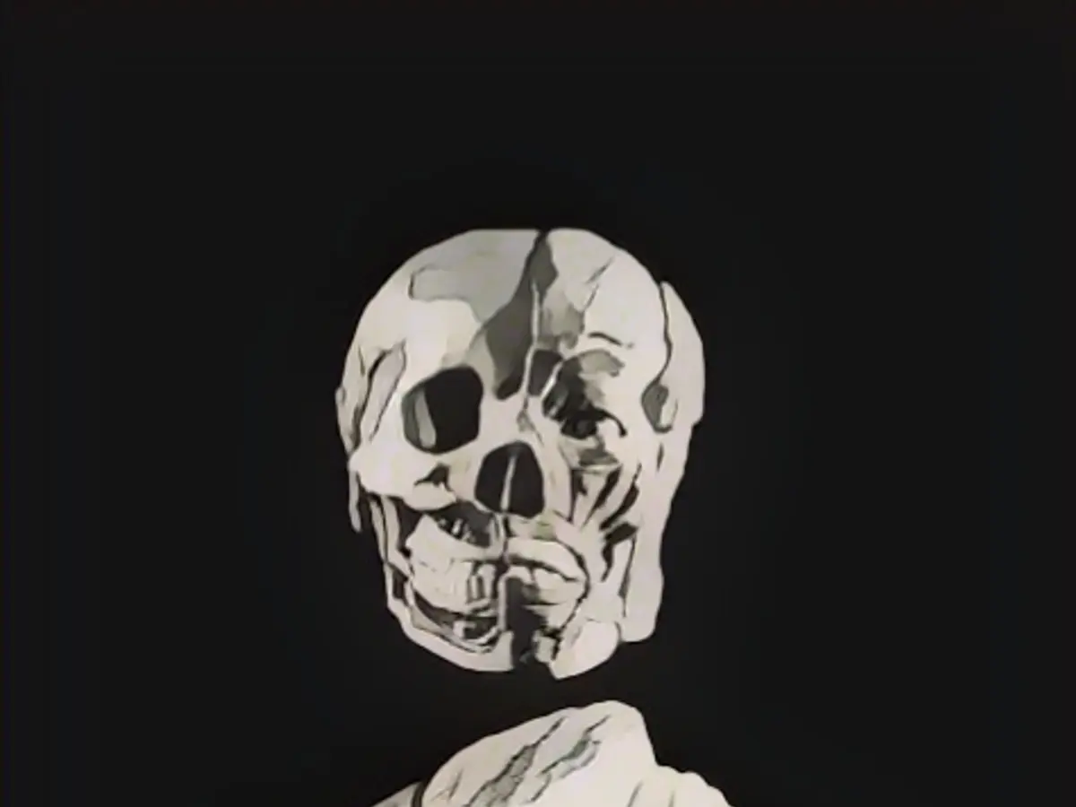 Dinosaur skulls and mammoth tusks: Ancient treasures aimed at new collectors