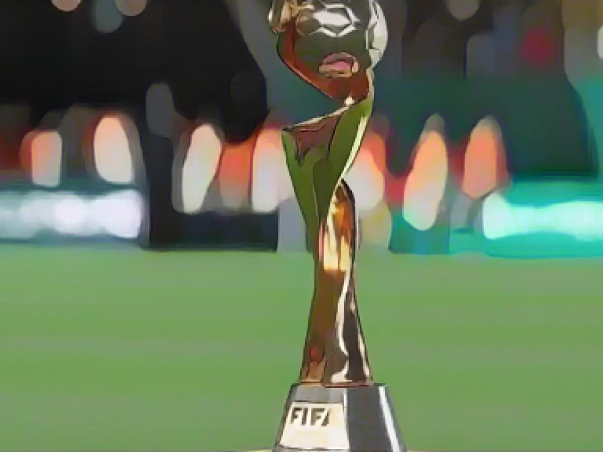 Women's World Cup 2027: DFB relies on economic guarantees