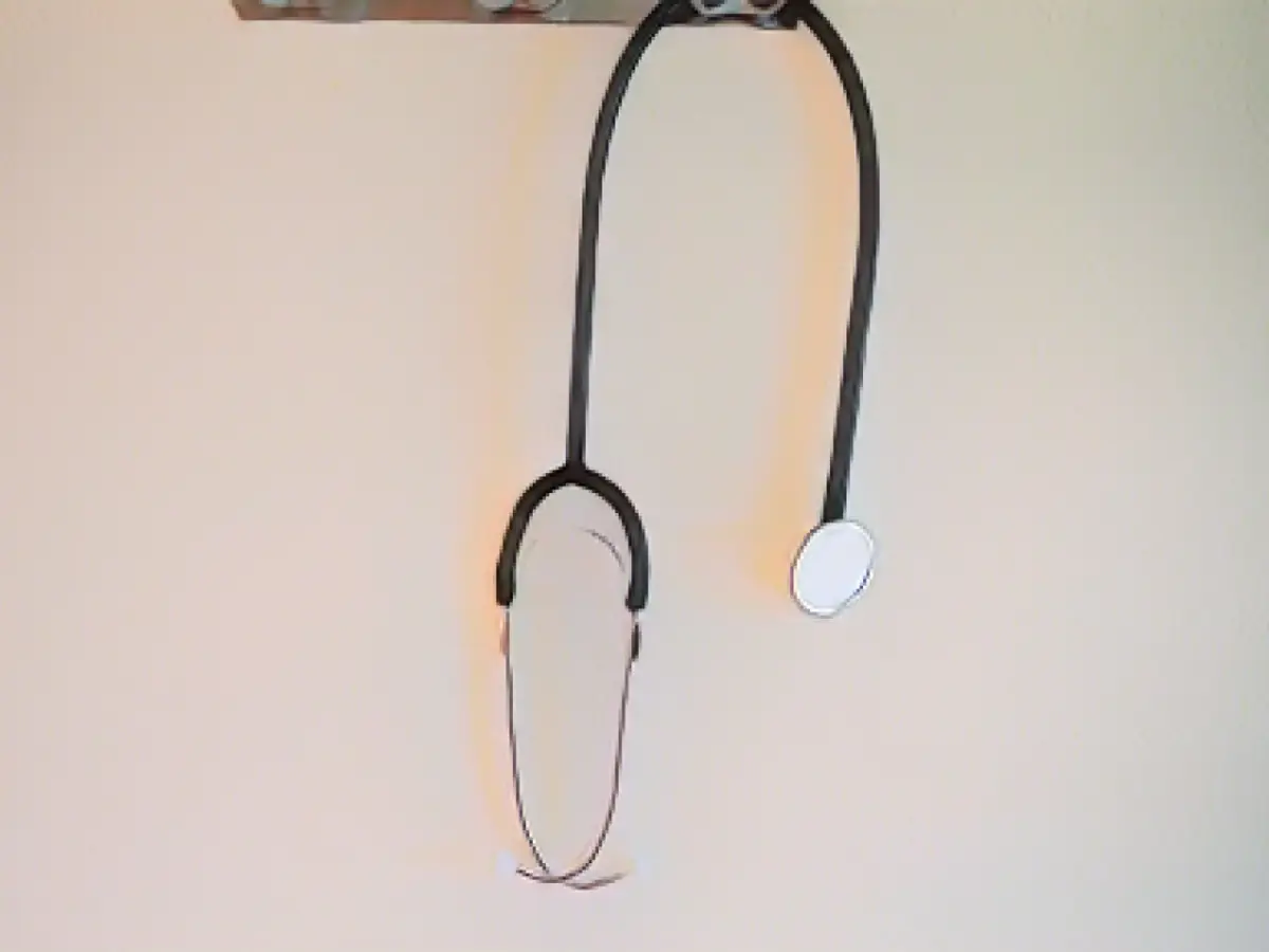 Medical Association: Healthcare for people without papers