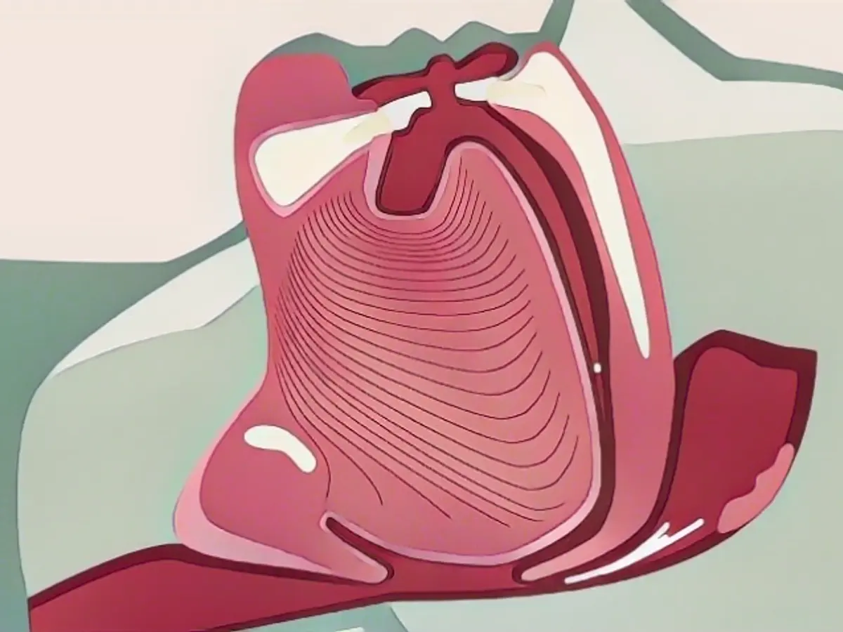 Experts say these 5 rules for good sleep can also affect the occurrence of asthma