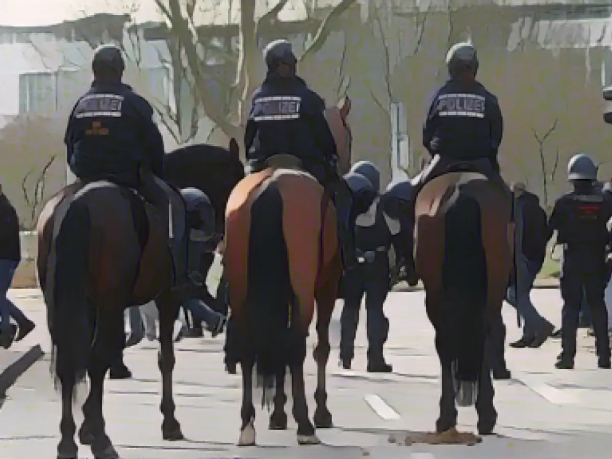 Cruelty to animals at equestrian squadron - police officers in court