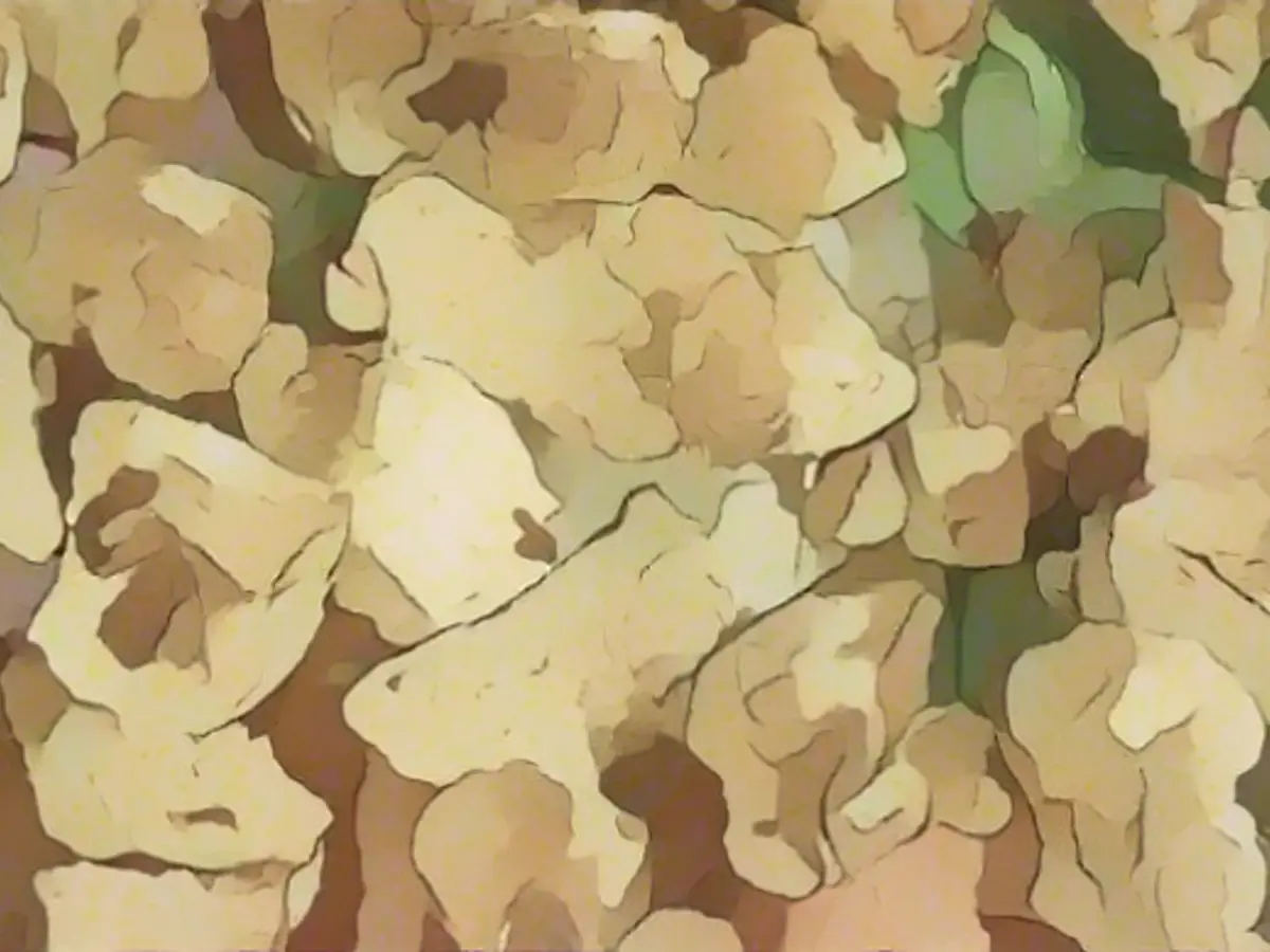 Crispy Golden Chicken with Noodles