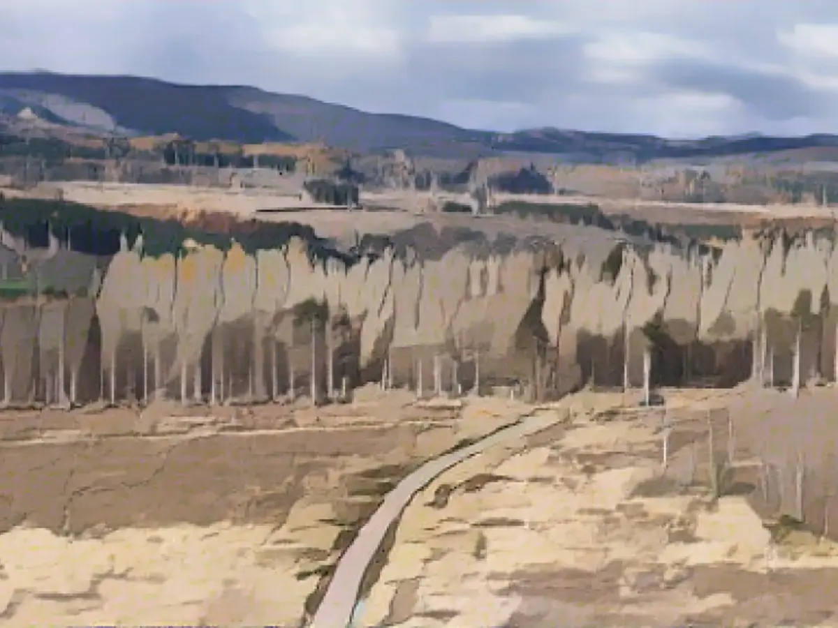 National park bosses to blame for Harz infarction?