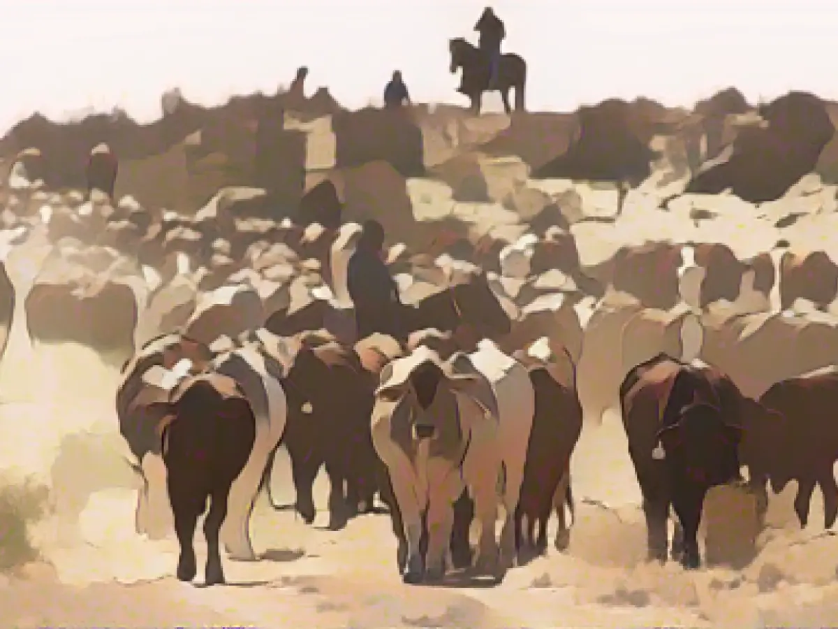 Chinese company abandons bid to buy large Australian ranch