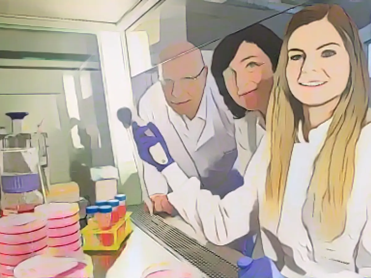 Killer cells save new organs