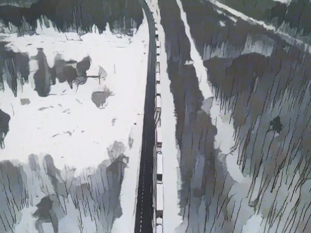 Ukraine drives trucks on trains to Poland