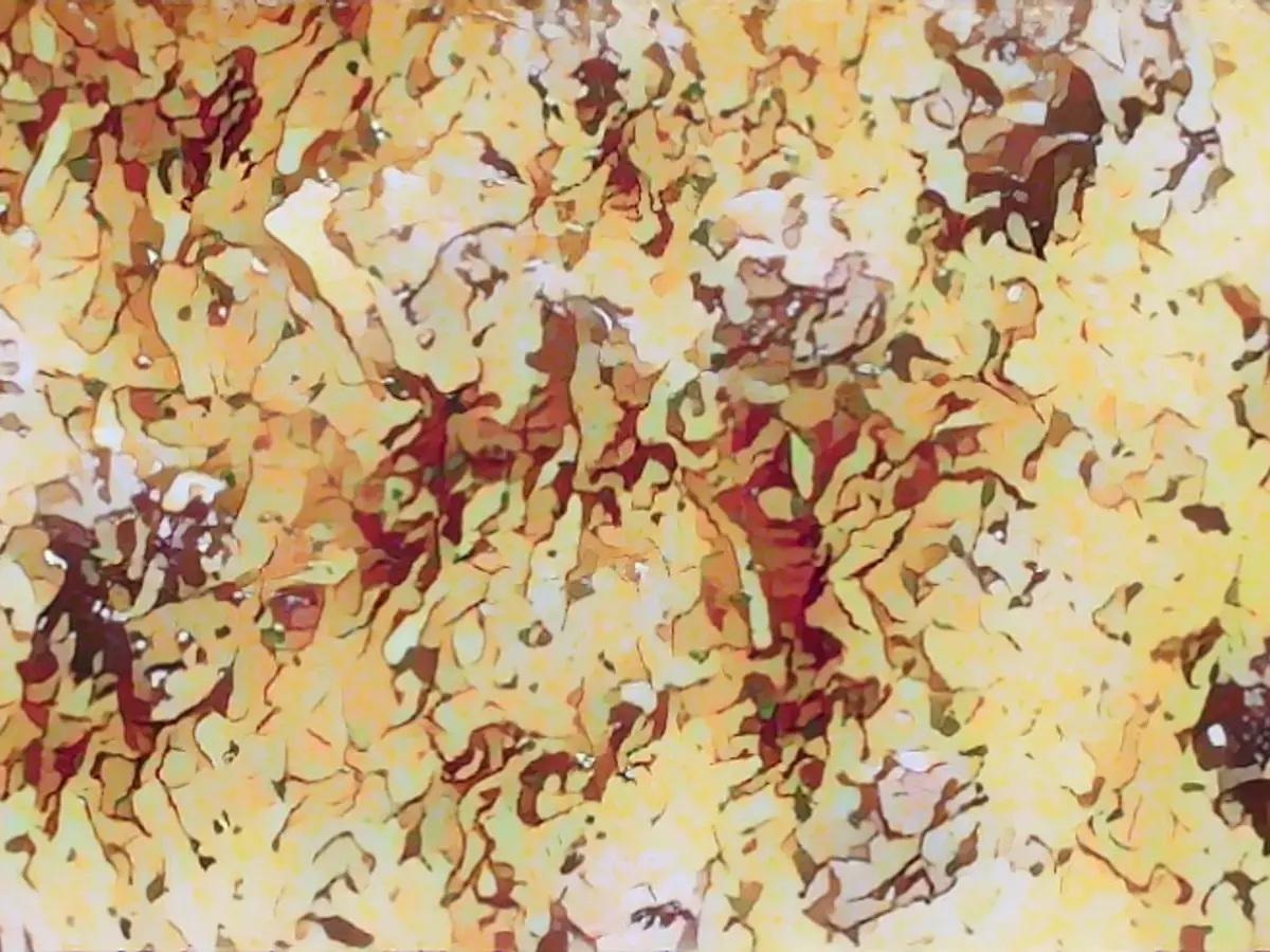 french onion turkey meatballs