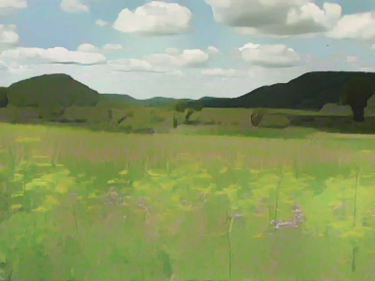 These 3 long-distance hiking trails in America are now national parks