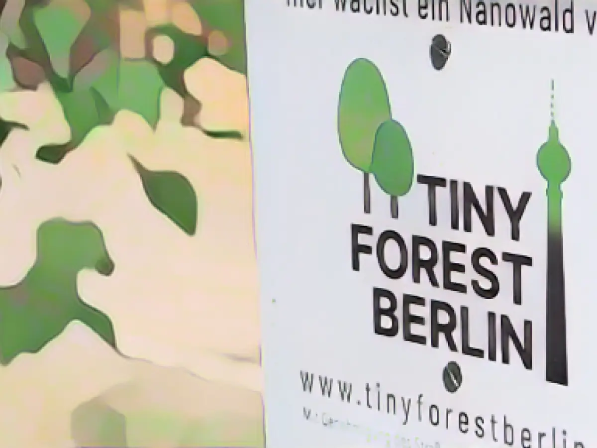 Green lungs in the city: Mannheim gets Tiny Forest