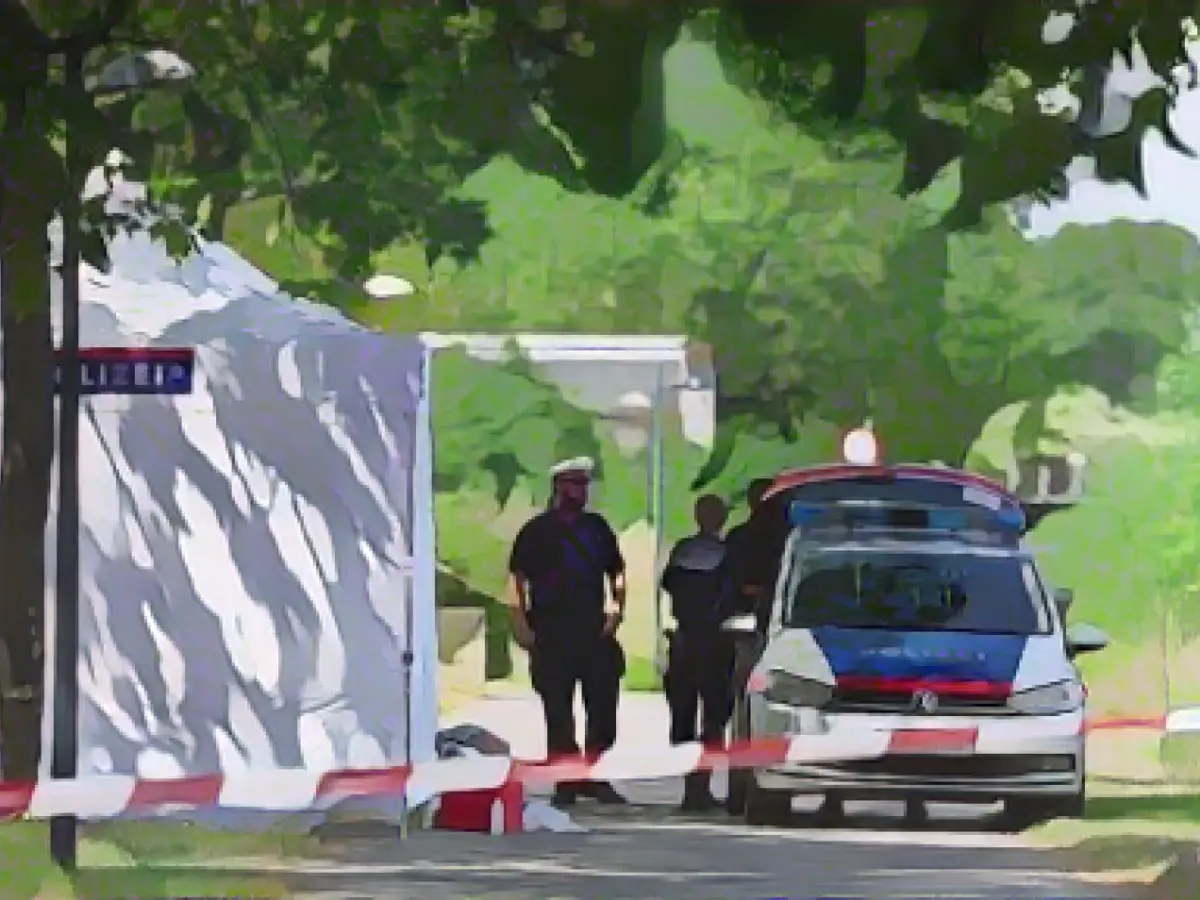 Killing of two homeless people - 17-year-old turns himself in