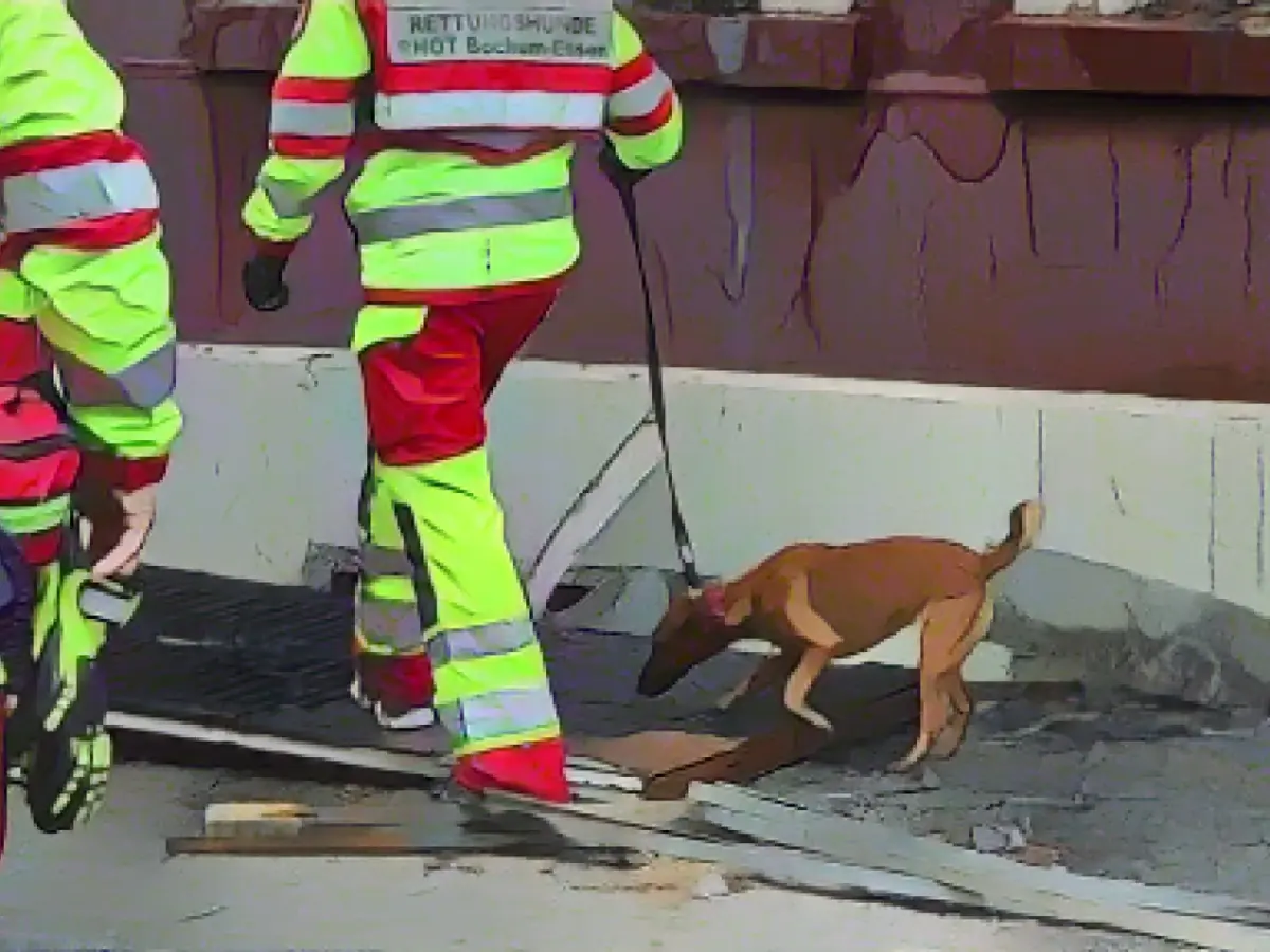 Expert inspects building after devastating explosion