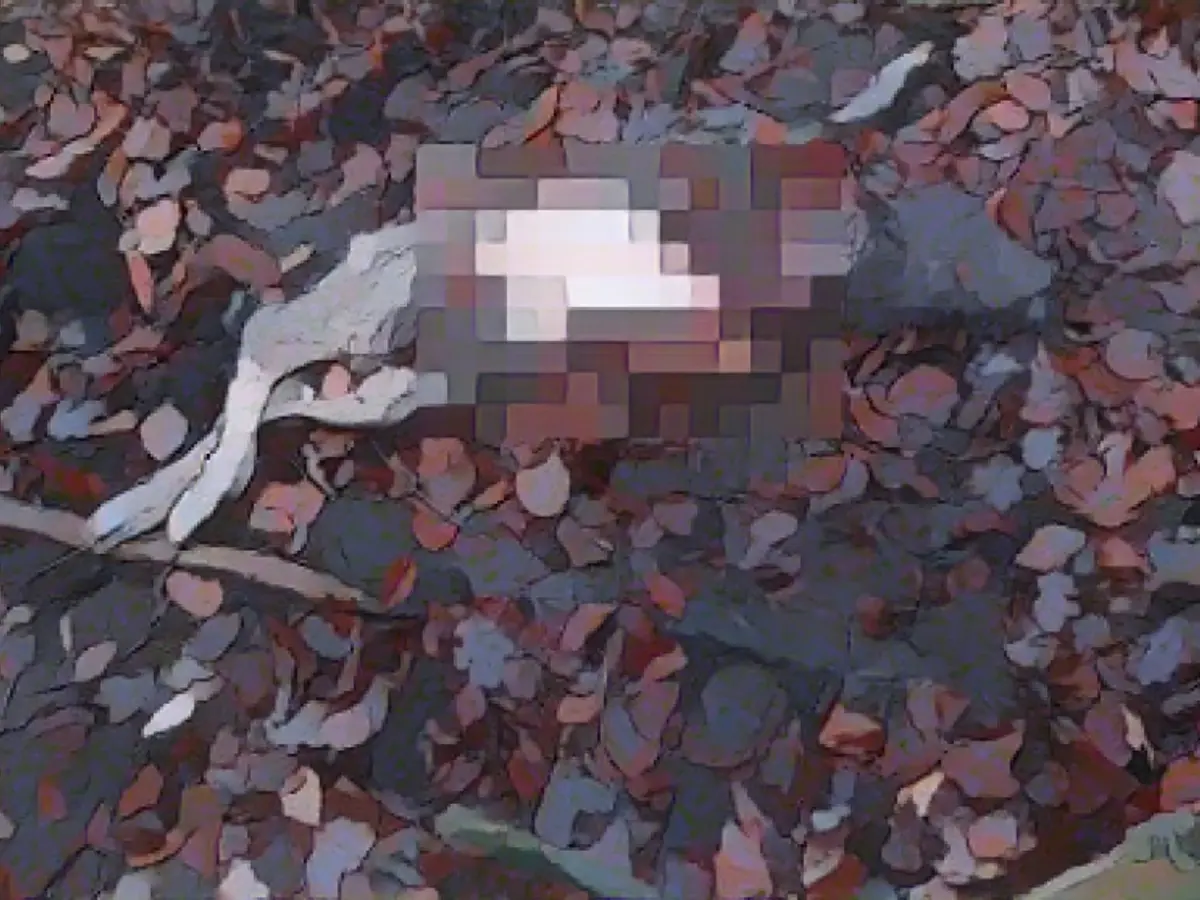 This is what happens when the guard dogs are grounded