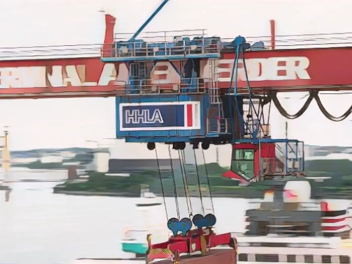 Hamburg and MSC jointly dominate port logistics