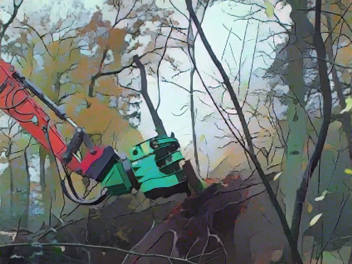 Weeding with the excavator