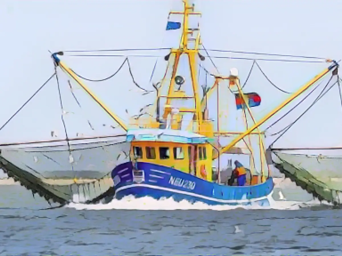 North Sea fishermen may bring more fish ashore in 2024