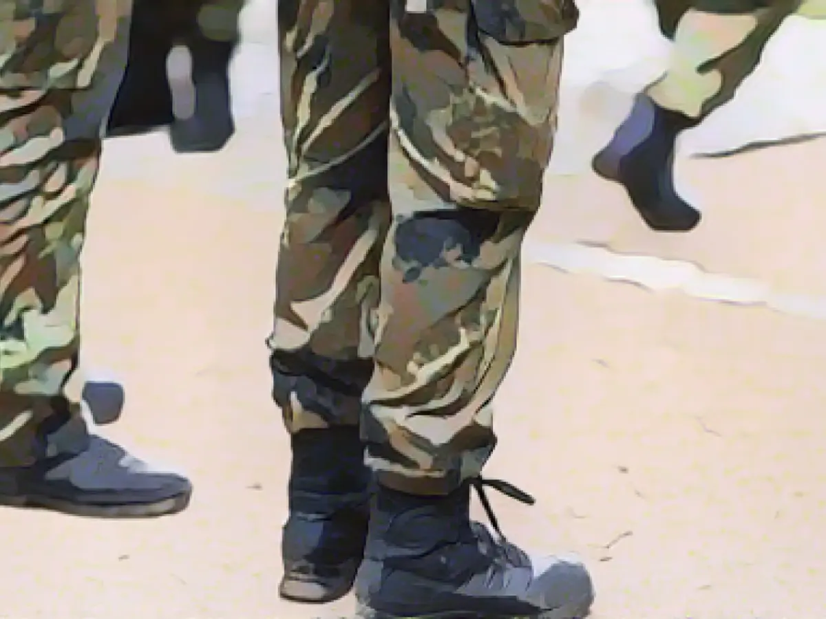 Pistorius wants to receive soldiers after end of Mali mission