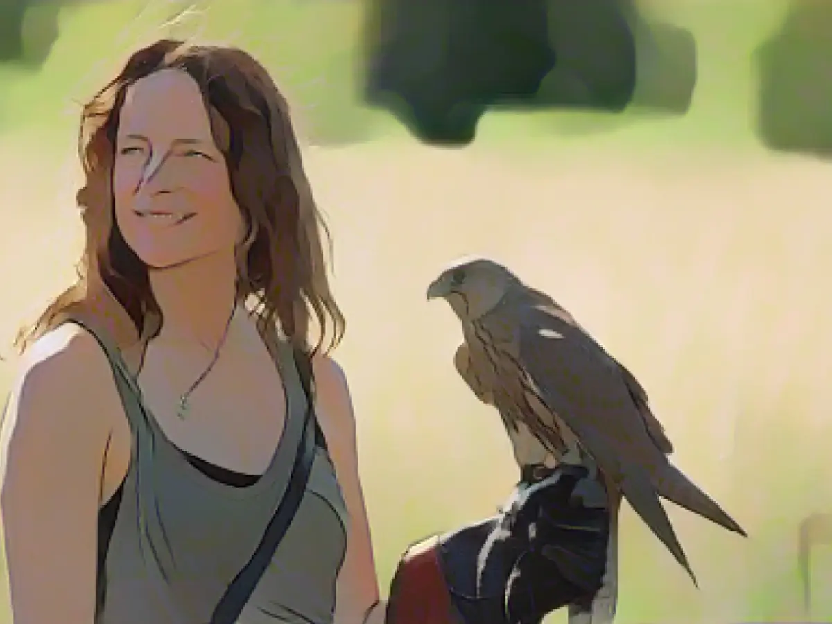 TV tips on Wednesday