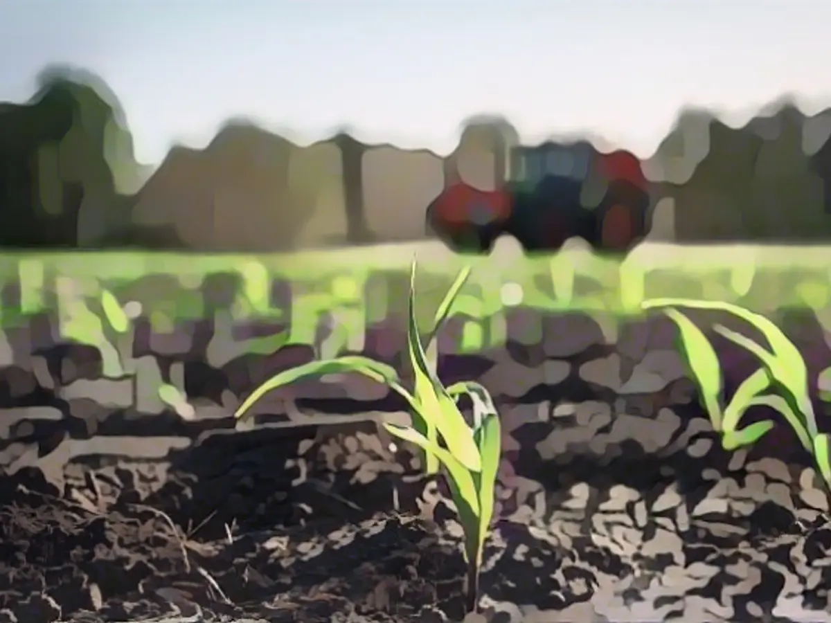 This is what the agriculture of the future will look like
