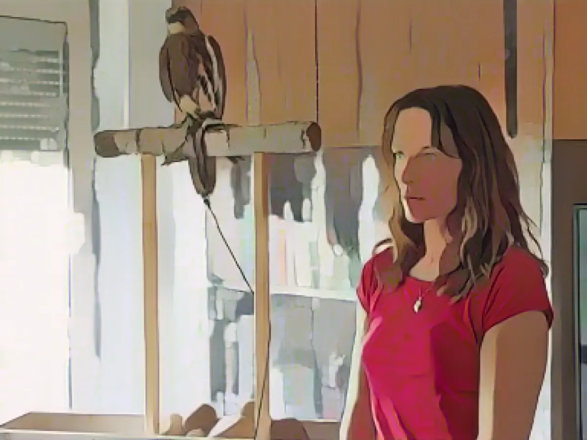 Dominik Graf drama "My Falcon" on the first channel