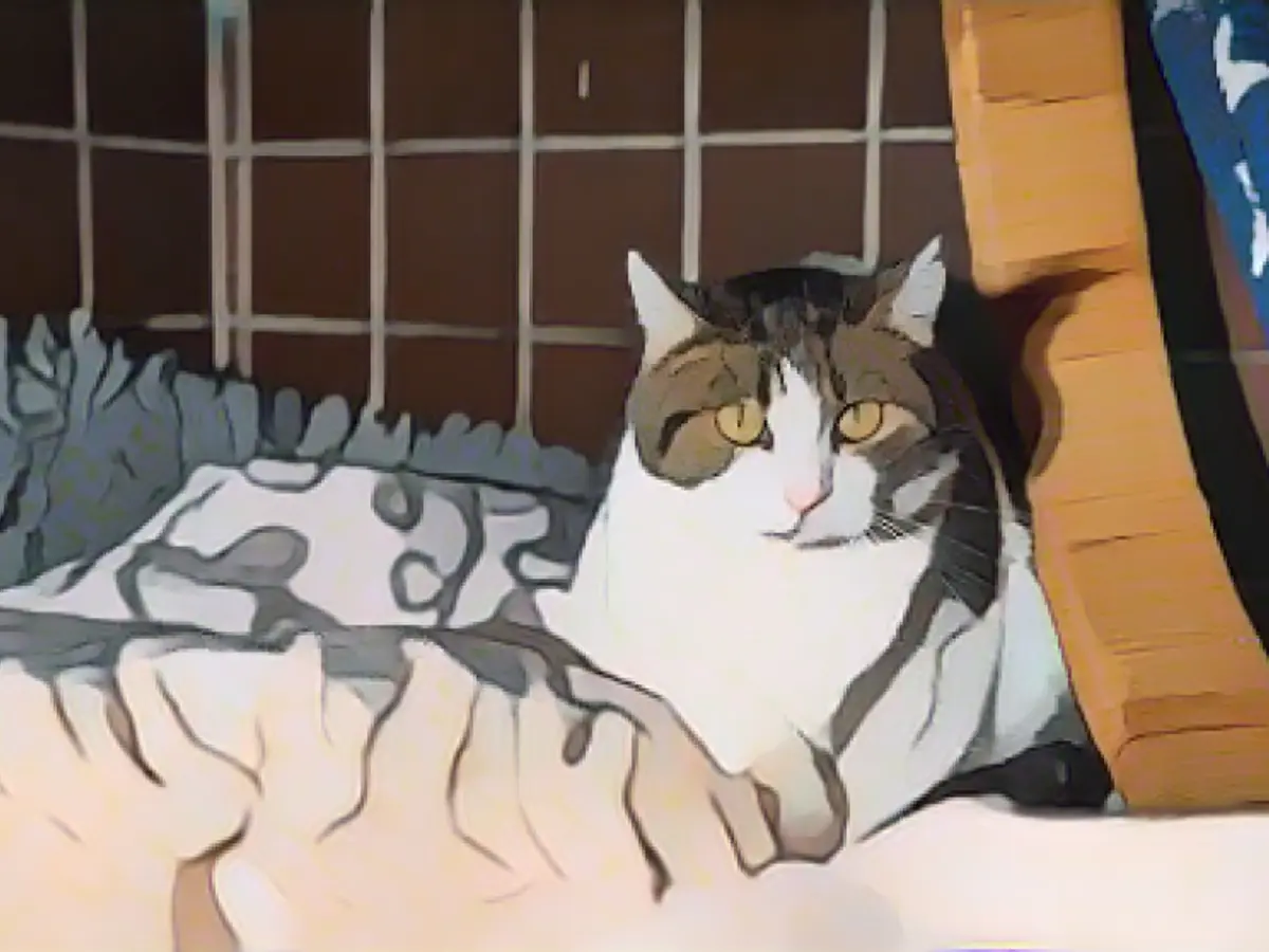 Deadly plague rages in Duisburg animal shelter