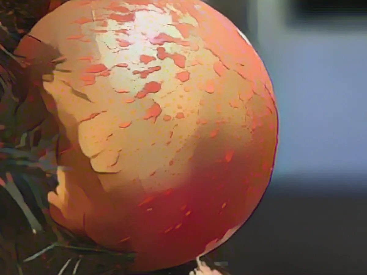 Rostock Christmas tree sprayed with paint