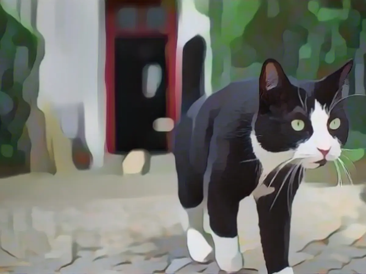 Free-roaming cats endanger biodiversity