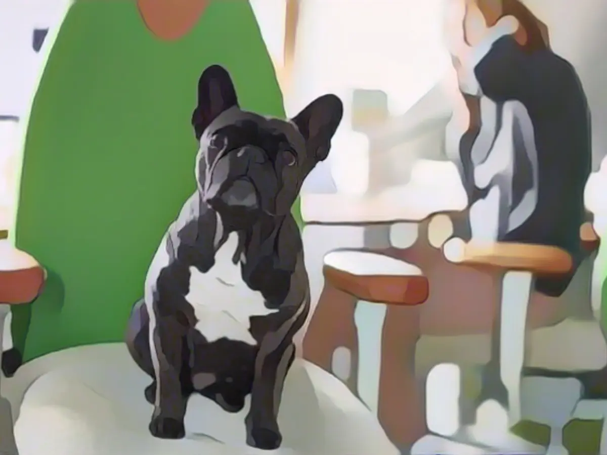 The post-corona trend is towards office dogs